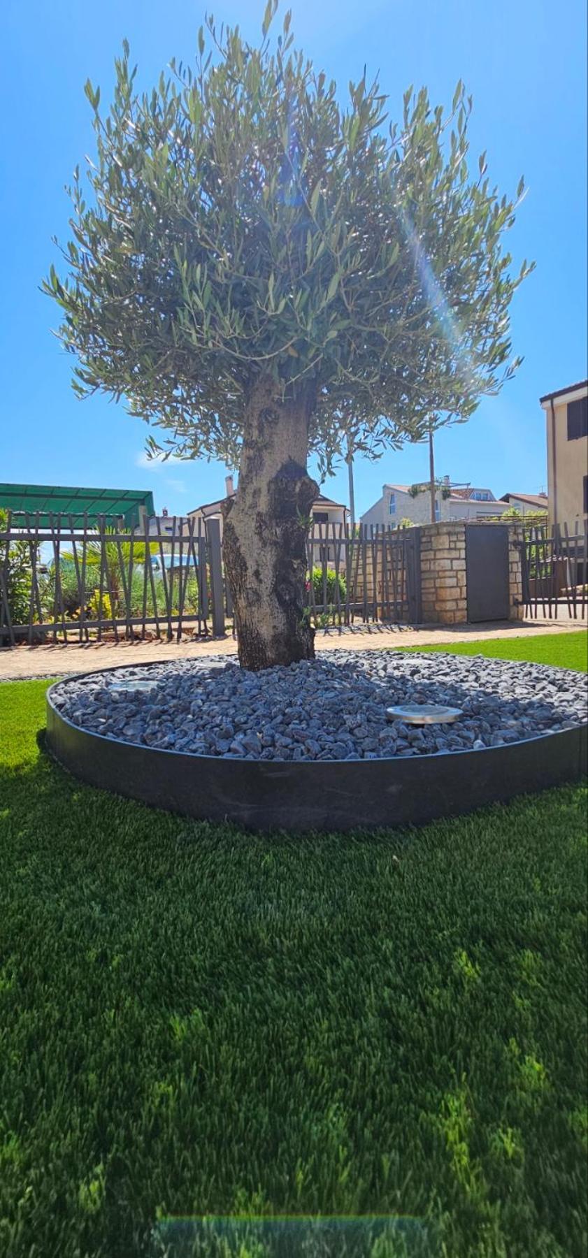 Kadenca Apartment Umag Bilik gambar