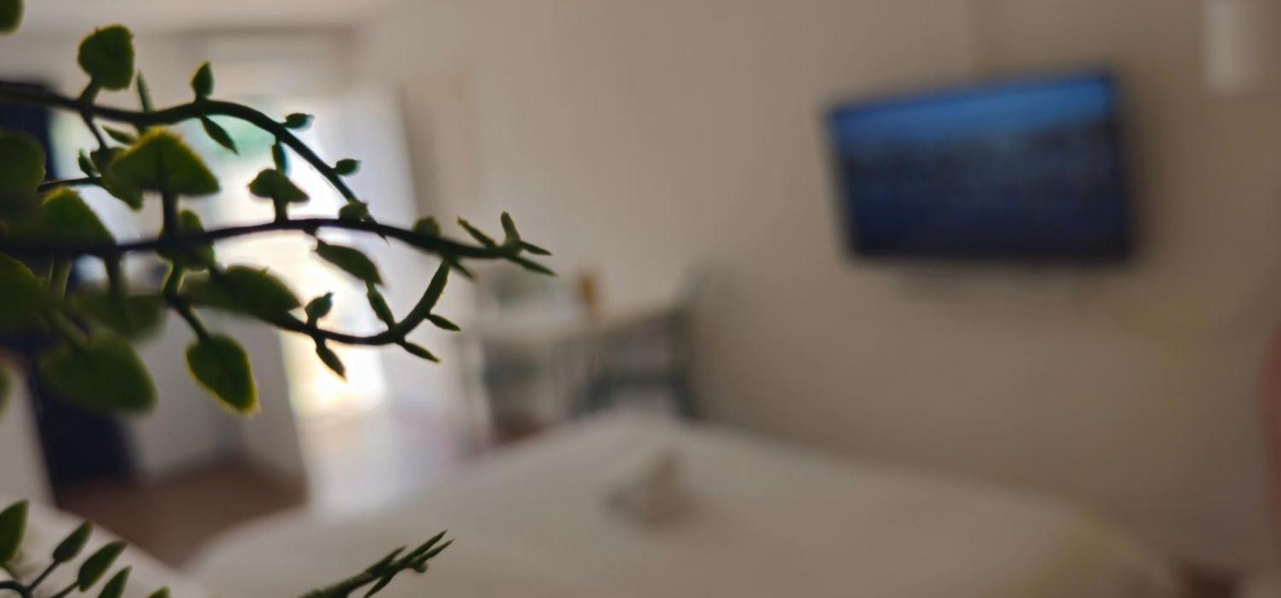 Kadenca Apartment Umag Bilik gambar