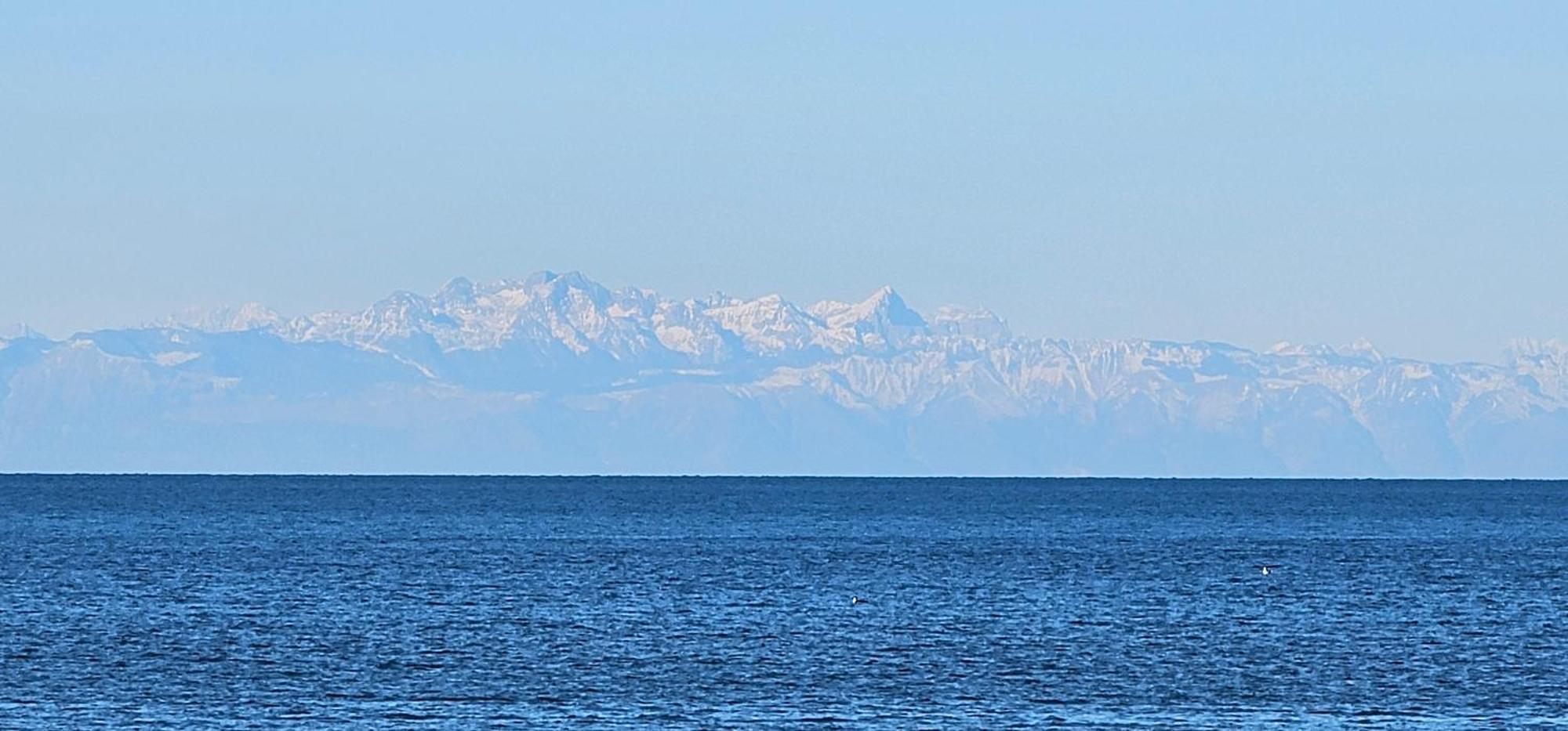 Kadenca Apartment Umag Luaran gambar